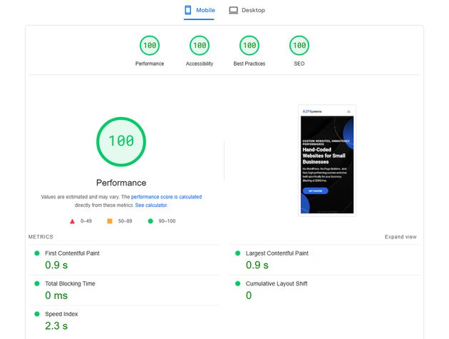 image demonstrating a perfect page speed score